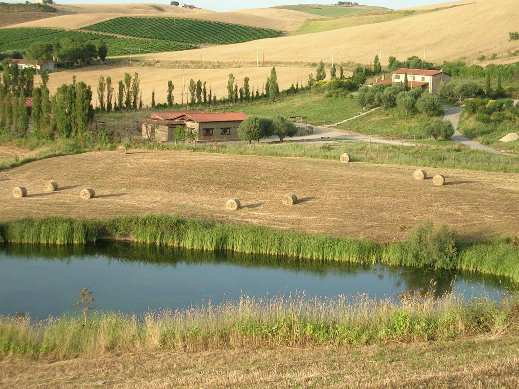 Casale Farnesiana B&B Tarquinia Extérieur photo
