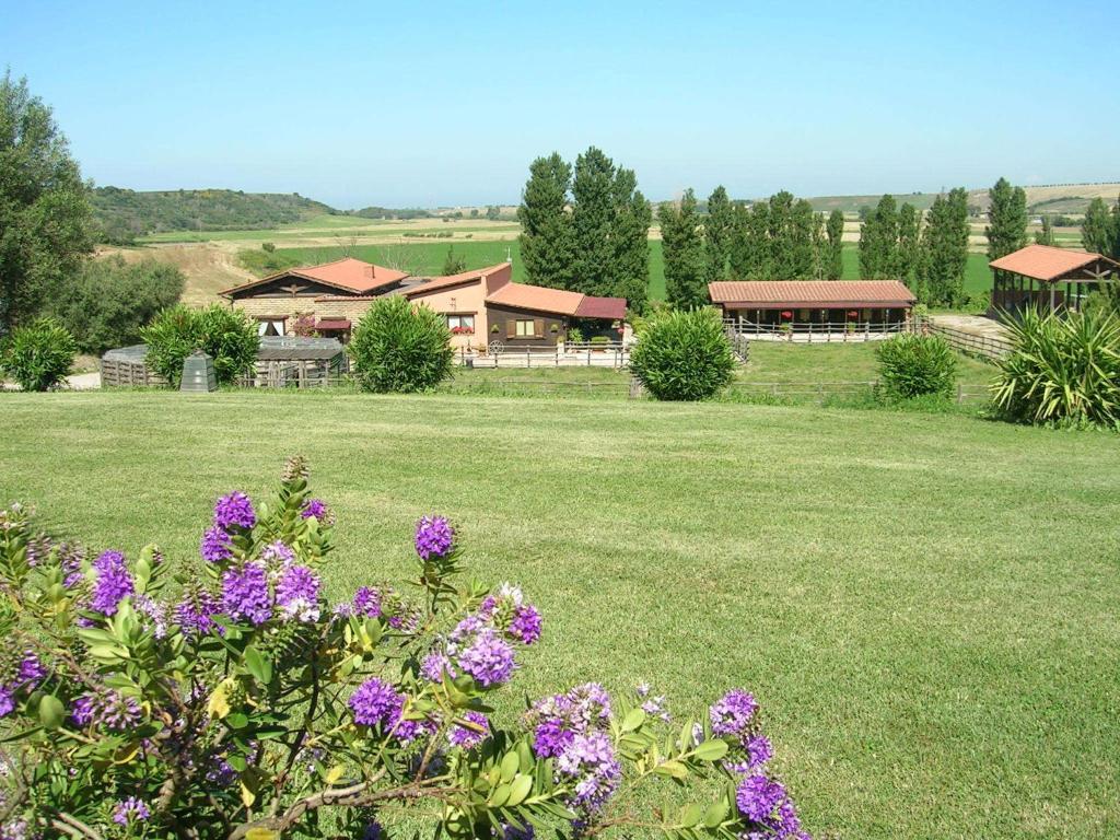 Casale Farnesiana B&B Tarquinia Extérieur photo