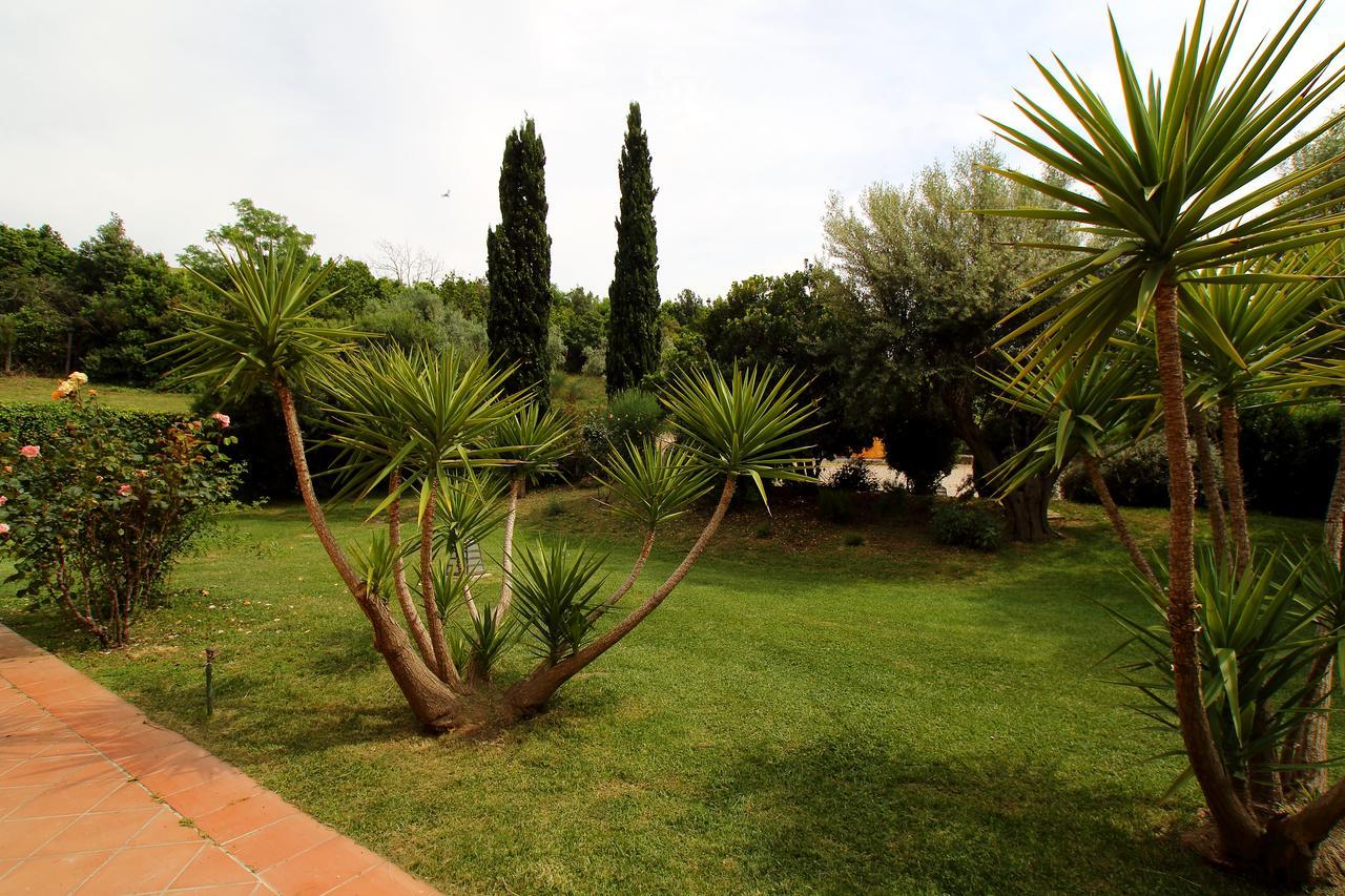 Casale Farnesiana B&B Tarquinia Extérieur photo